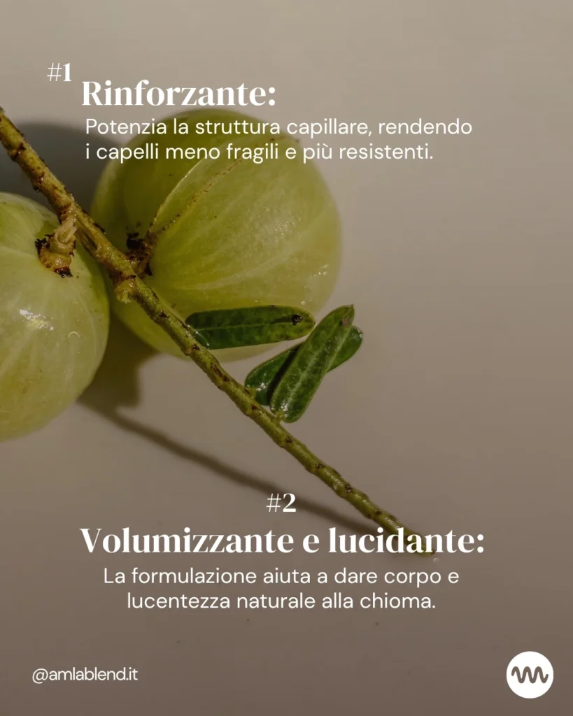 Maschera in polvere rinforzante per capelli – Rinforza e rigenera i capelli sfibrati con BOOST di . Maschera in polvere 100%