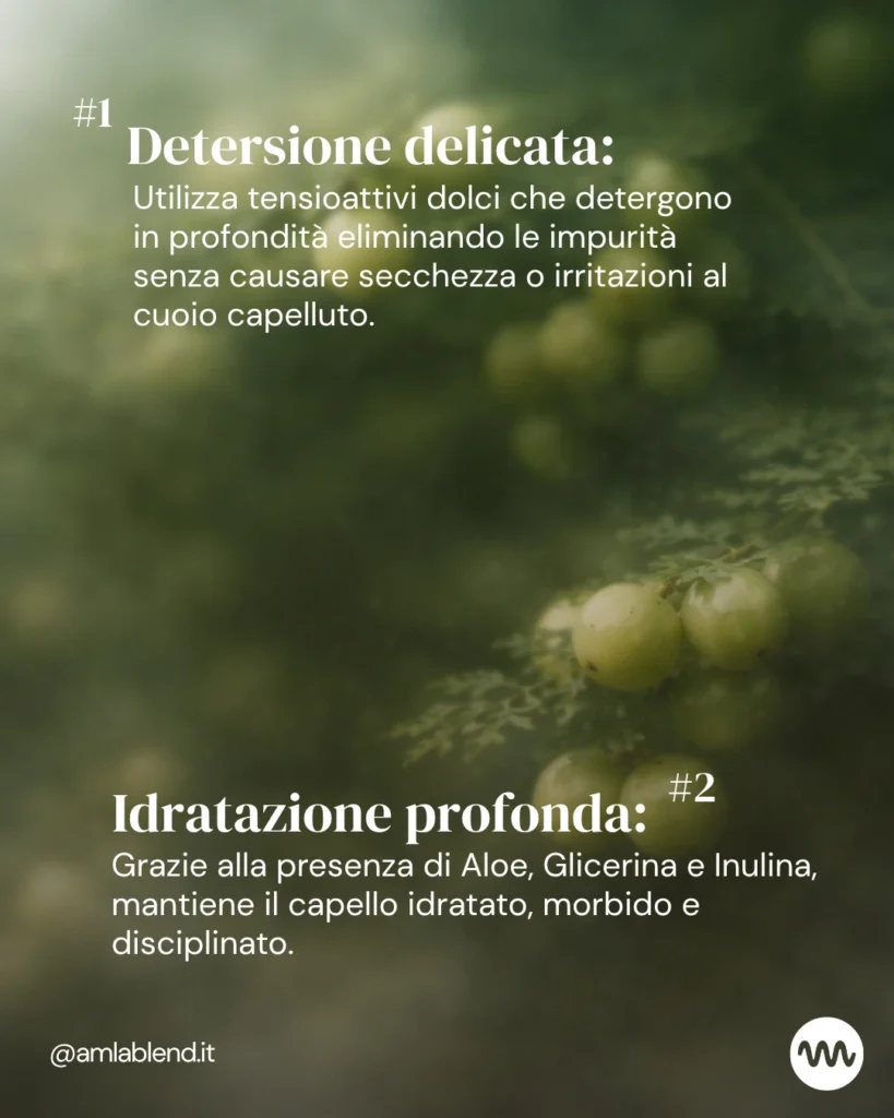 Shampoo uso frequente a base di Amla e Tulsi – Detergi delicatamente i capelli ogni giorno con lo Shampoo di . Con Amla